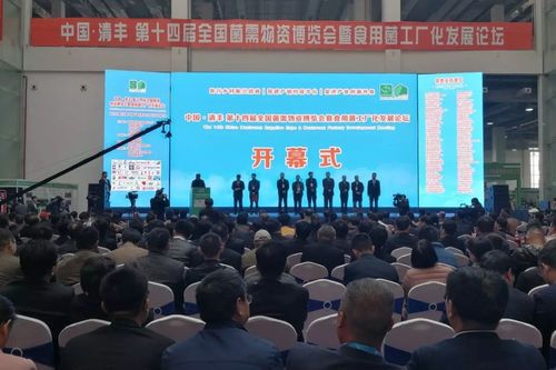 徐滔先生受邀出席深圳市互联网金融协会第三期不良资产处置专题培训会